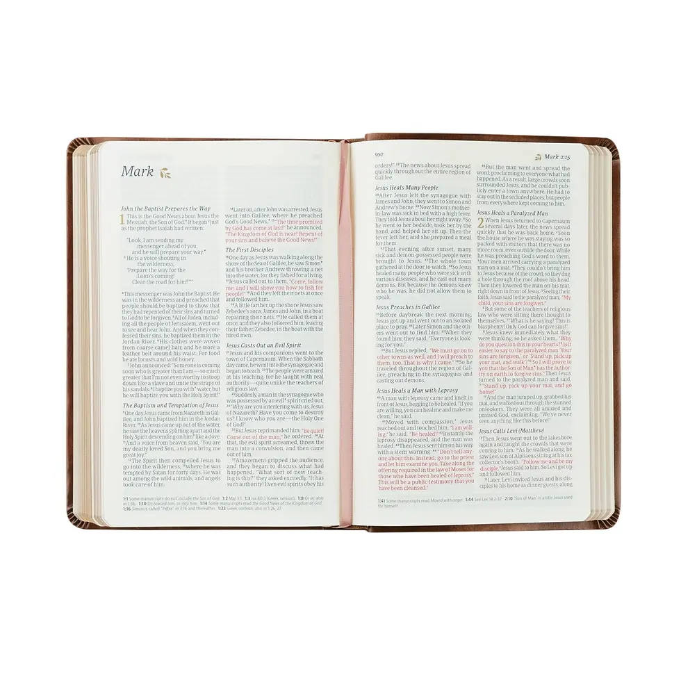 Thumbnail: Nlt Compact Bible Aurora Theme