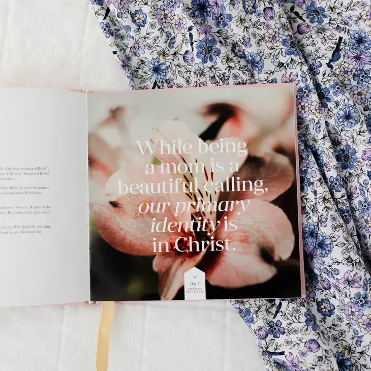 Thumbnail: Steadfast Motherhood | 60 Days of Abiding in Christ