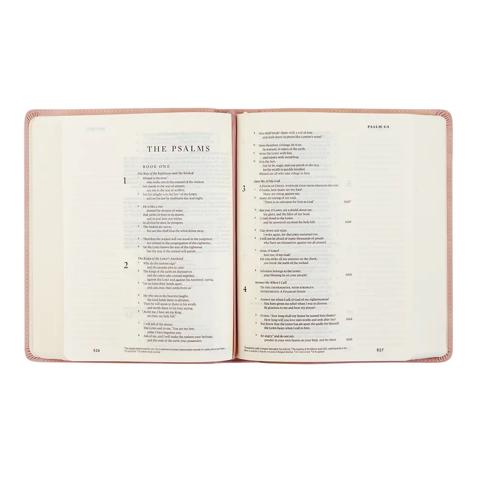 Thumbnail: Esv Journaling Bible : Shiloh Theme