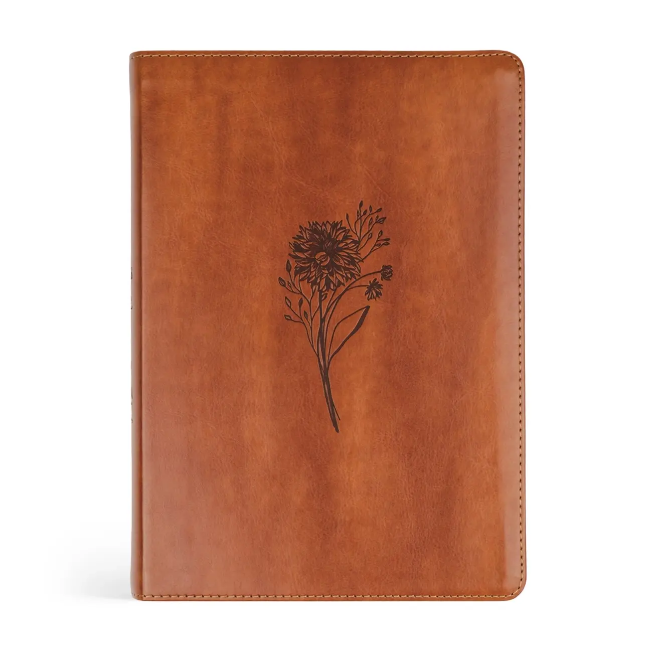 Esv Large Print Journaling Bible Sierra Theme