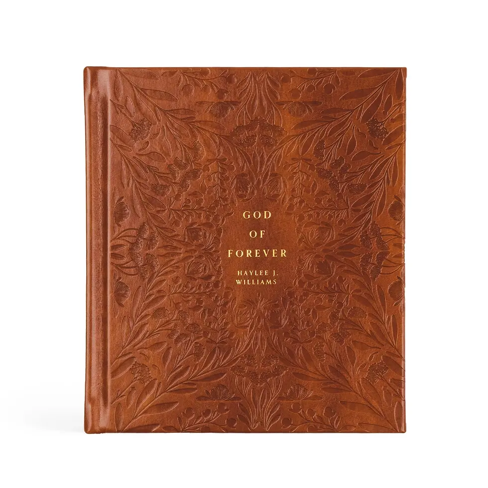 God of Forever By Haylee J. Williams