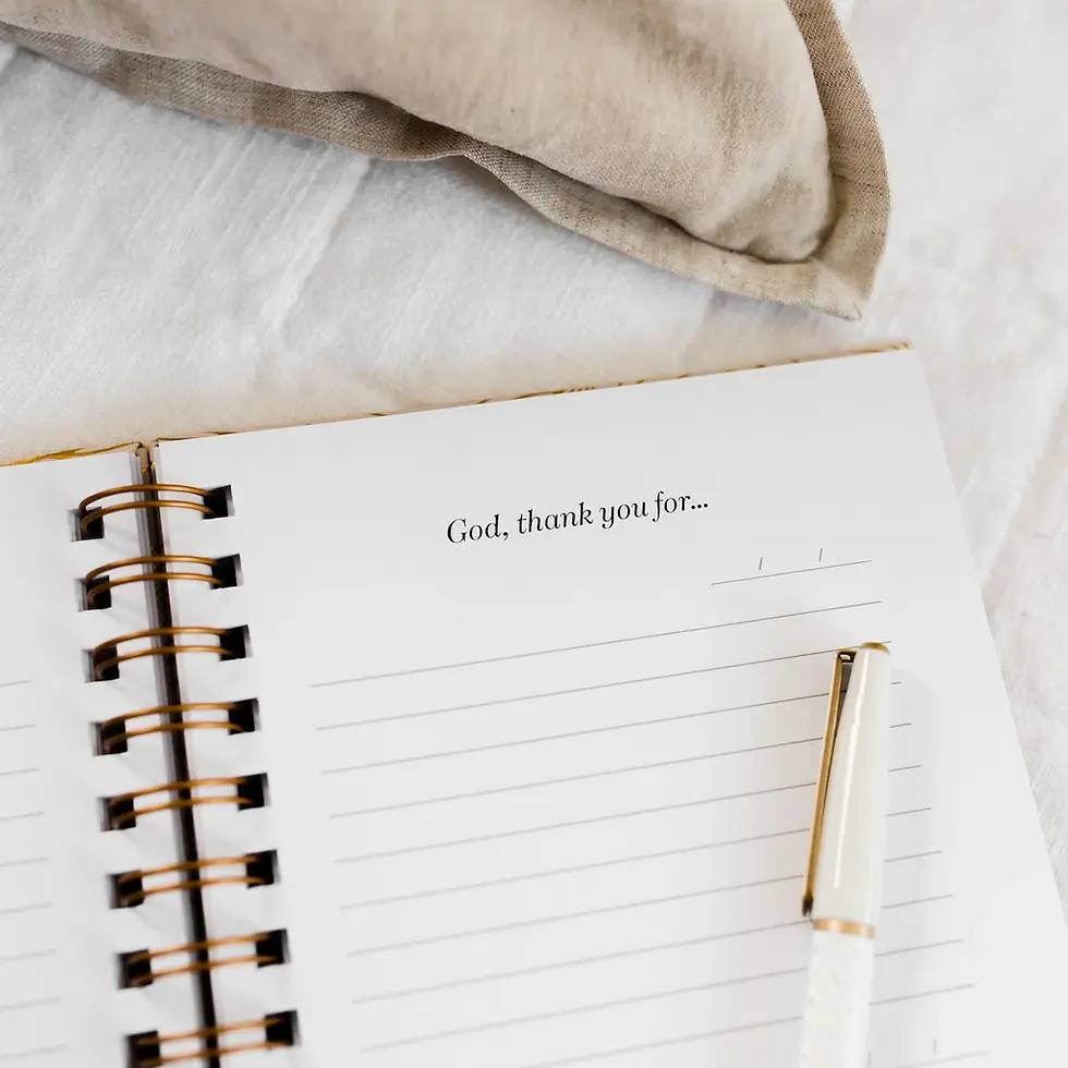 Thumbnail: Every Day Praise Journal
