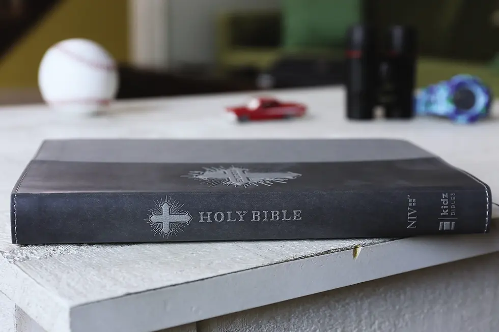 Thumbnail: NIV Bible For Kids