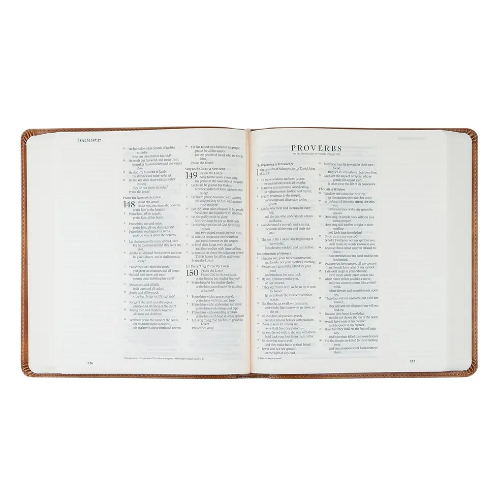 Thumbnail: Esv Journaling Bible  Sierra Theme