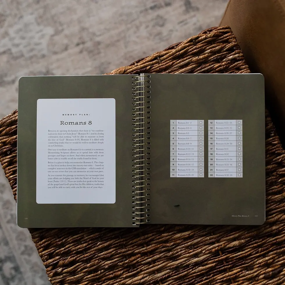 Thumbnail: In Christ Alone A Study On the Book of Romans - Men's