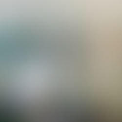 Aerial view of a cityscape with Marina Bay Sands, skyscrapers, and waterfront. Soft sunlight reflects on the water, creating a serene mood.