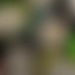 Assessing the Economic Impact of Aspartame in Retail: Consumer Behavior, Sales Revenue, and Market Dynamics