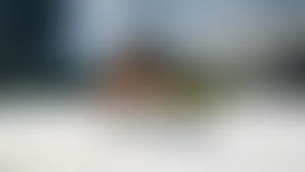 Alibaba’s AI Investments Supercharge Cloud Growth Amid Profit Trade-offs