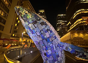 S__44916759_0.jpg