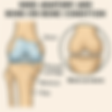Best Unloader Knee Brace for Bone on Bone