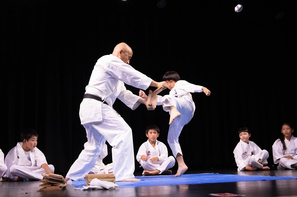 aiis_karate2