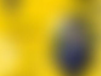 Copperpod IP Recognized by IAM Strategy 300