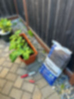 IMG_1178.jpeg