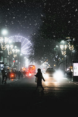 DSC08384-Snow2.jpg