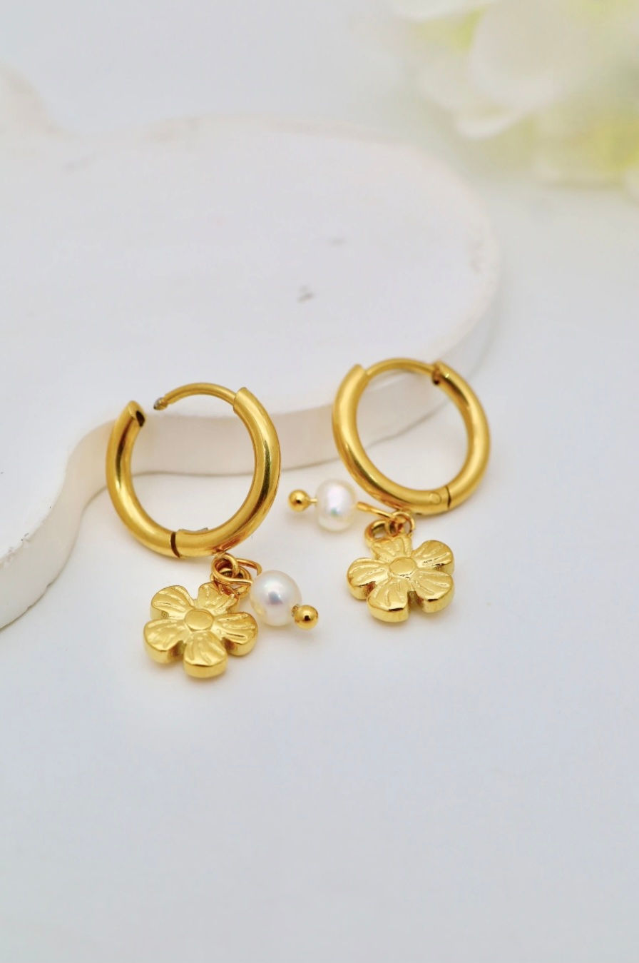 Miniature : Boucles d'oreilles acier inoxydable 