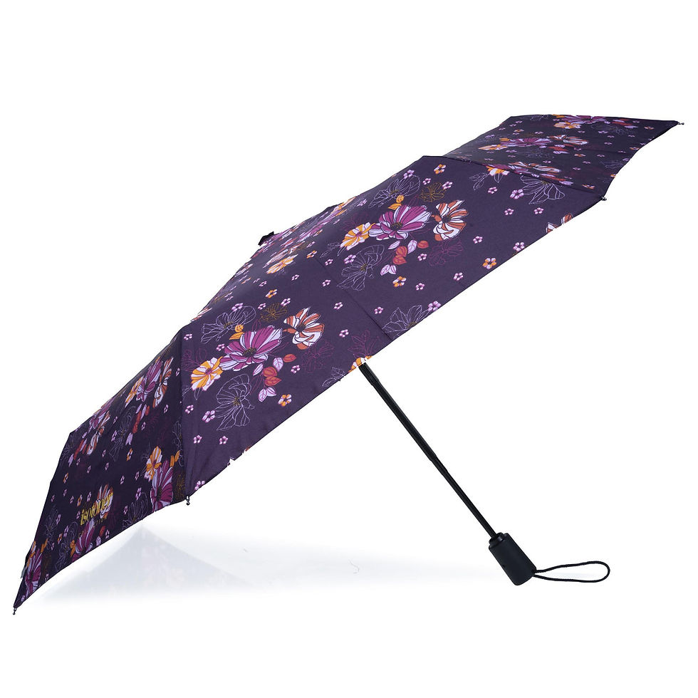 Miniature : Parapluie auto ISOTONER 