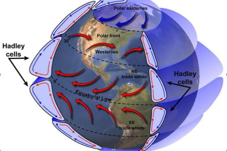 Illustrates Hadley cells in relation to convection...