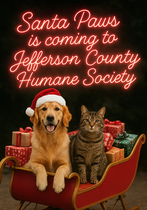 ChatGPT Image Nov 14, 2025, 04_13_03 PM.png