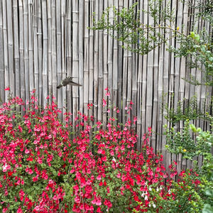 Ecological | Habitat 