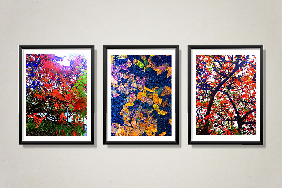 Capturing stolen colors 