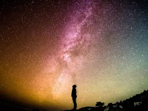 The Ecological Wisdom System (II)