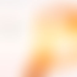 刘丰老师:生命的方向