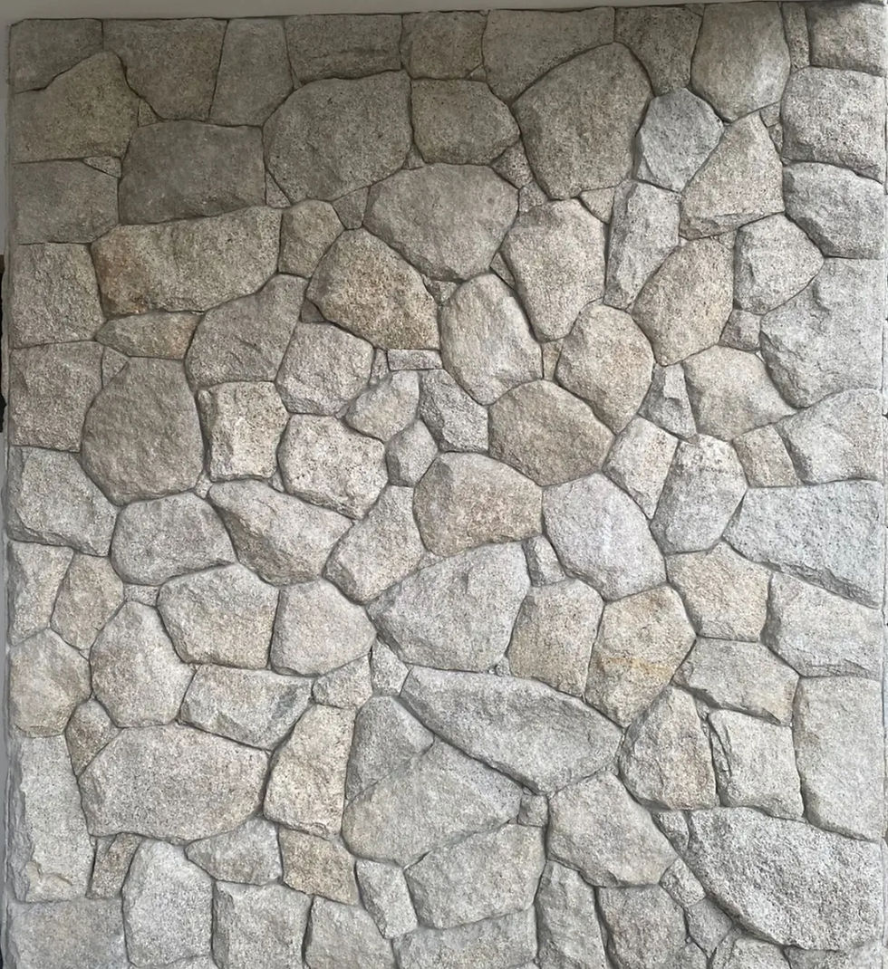 Miniatura: Moledo Champagne - Gnazz