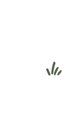 Untitled design (3).png