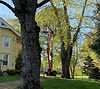 IMG_0888_edited.jpg
