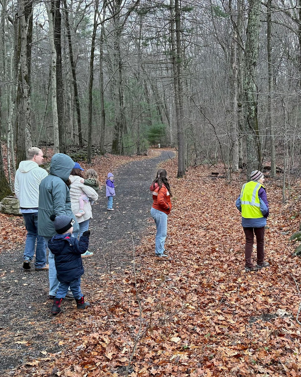 Family Hike: Use Your Five Senses to Experience the Forest!