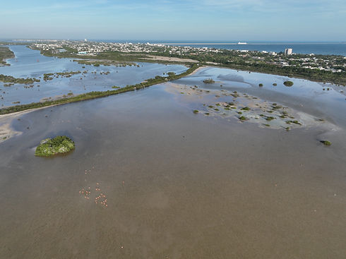 DJI_0295.JPG