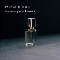 metamorphose homme.jpg