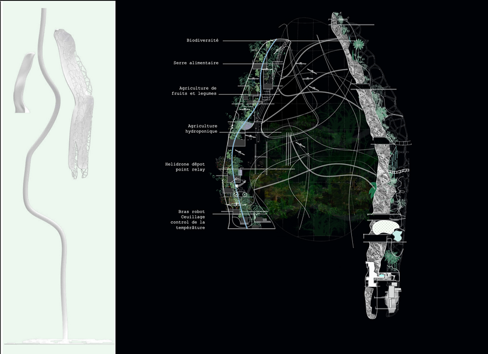 Capture d’écran 2022-11-17 à 15.05.04.png