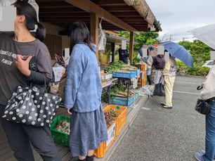 マルシェとホタル