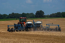 062325_wheat_beans_026.jpg