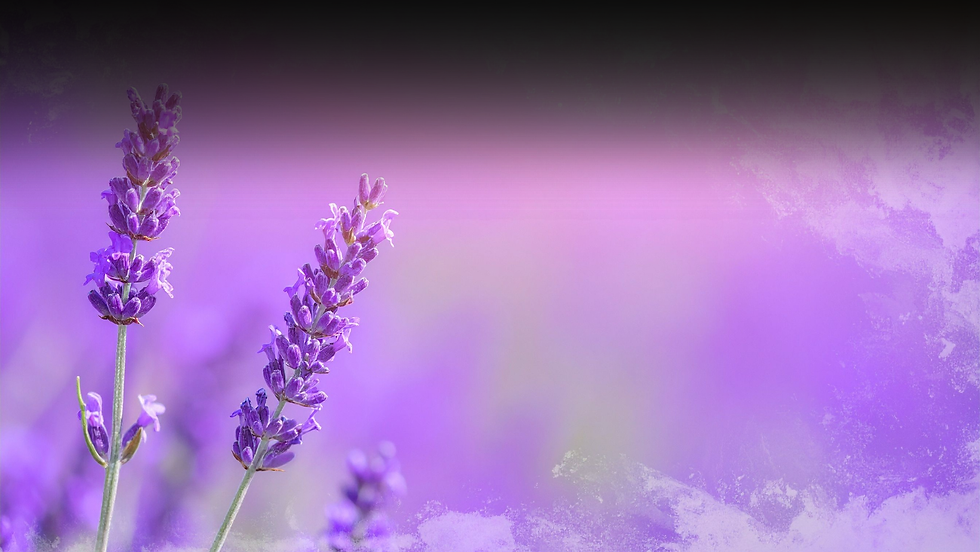 Untitled design - 2025-11-26T185613.970.png