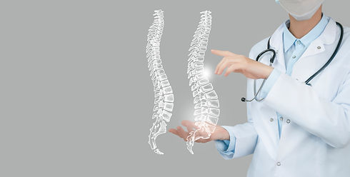 Female doctor holding virtual Spine in hand. Handrawn human organ, copy space on right sid