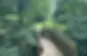 LattaPark-trail.webp
