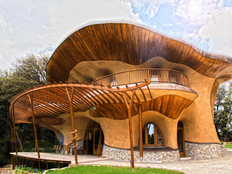 Naturaleza + Arquitectura