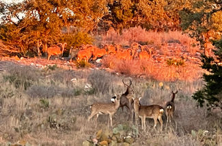 Photo Jan 29, 6 03 01 PM.jpg