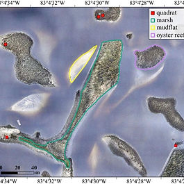 Seascape Composition & Configuration