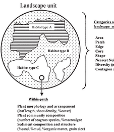 Pittman_etal2004_MEPS.png
