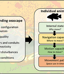 Figure1_MovementChapter.png