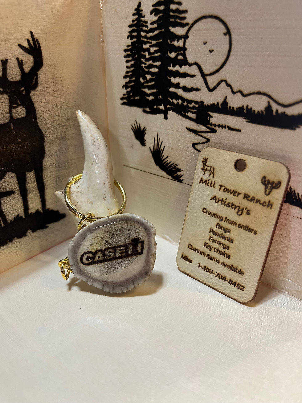 Case Key chain