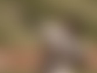 Marlins cool off against Nationals on Labor Day