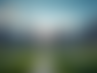 Seattle Seahawks Claim Second Super Bowl Title in Dominant Victory Over Patriots