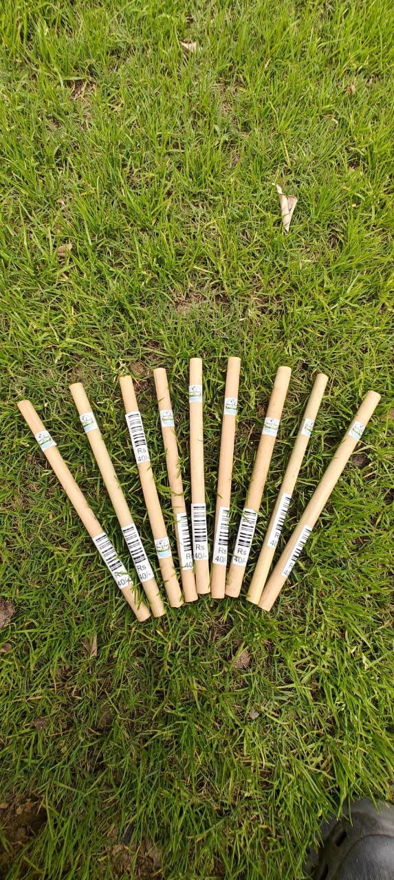 Bamboo Straw