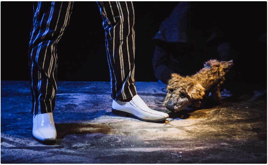 Screenshot-2018-3-27_LOST_DOG…_PERRO_PERDIDO_Cal_y_Canto_Teatro(4)