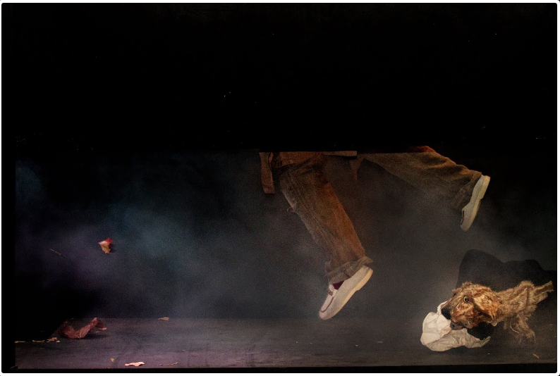 Screenshot-2018-3-27_LOST_DOG…_PERRO_PERDIDO_Cal_y_Canto_Teatro(2)