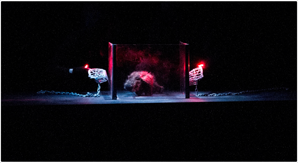 Screenshot-2018-3-27_LOST_DOG…_PERRO_PERDIDO_Cal_y_Canto_Teatro(7)
